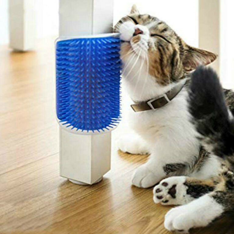 1651581290-1.jpg Katzenpinsel Ecke Katzen Massage Selbst Groomer Kammwand Pinsel reibt das Gesicht mit einem kitzelnden Kammkatze -Pflegezubehör. – Bild 2