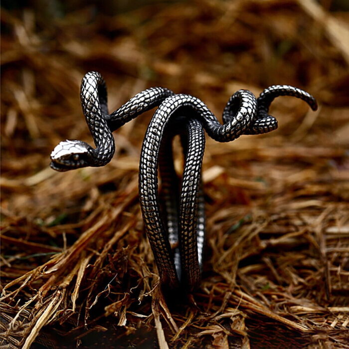 Simple Stainless Steel Snake Ring For Men Women Punk Hip Hop Fashion Couple Ring Men's Gold Color Ring Jewelry For The Best Him – Bild 5