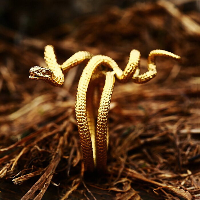 Simple Stainless Steel Snake Ring For Men Women Punk Hip Hop Fashion Couple Ring Men's Gold Color Ring Jewelry For The Best Him – Bild 6