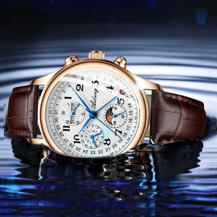 AILANG AL-6023 Herren Automatik Uhr 21 Jewels Mondphase Datum Edelstahl wasserabweisend – Bild 2